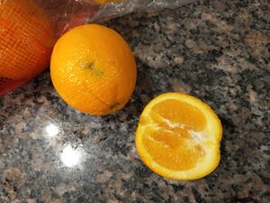 IMG 20250530 210656315.jpg