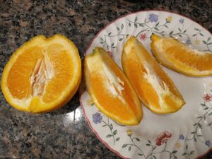 IMG 20250531 233920508.jpg