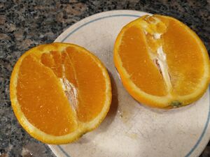 IMG 20250608 072527888.jpg