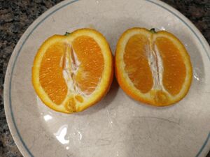 IMG 20250613 130402092.jpg