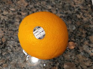 IMG 20250608 072438823.jpg