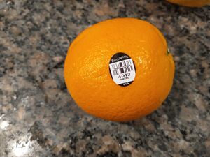 IMG 20250530 210746486.jpg