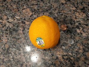 IMG 20250611 091818612.jpg