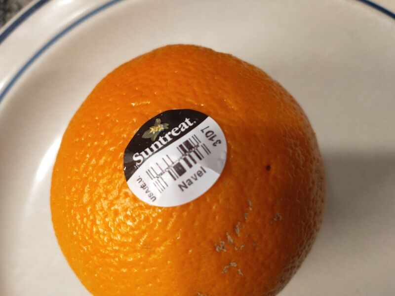 File:Suntreat closeup of logo.jpg