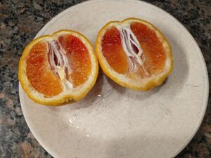 IMG 20250611 092042538.jpg