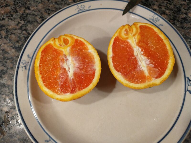 File:IMG 20260222 231959779.jpg