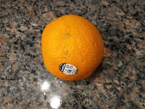 IMG 20250613 130205623.jpg