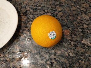 IMG 20250611 093623616.jpg