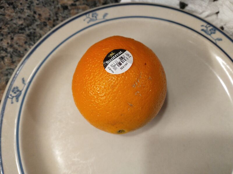 File:IMG 20260220 005031895 suntreat.jpg