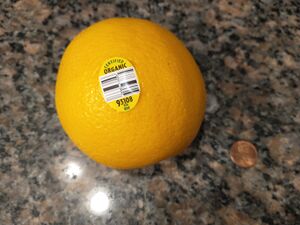 IMG 20250608 072109365.jpg