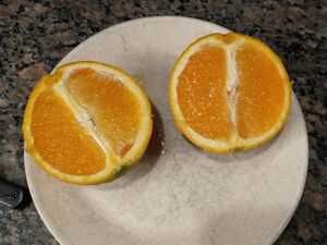 IMG 20250611 093647178.jpg