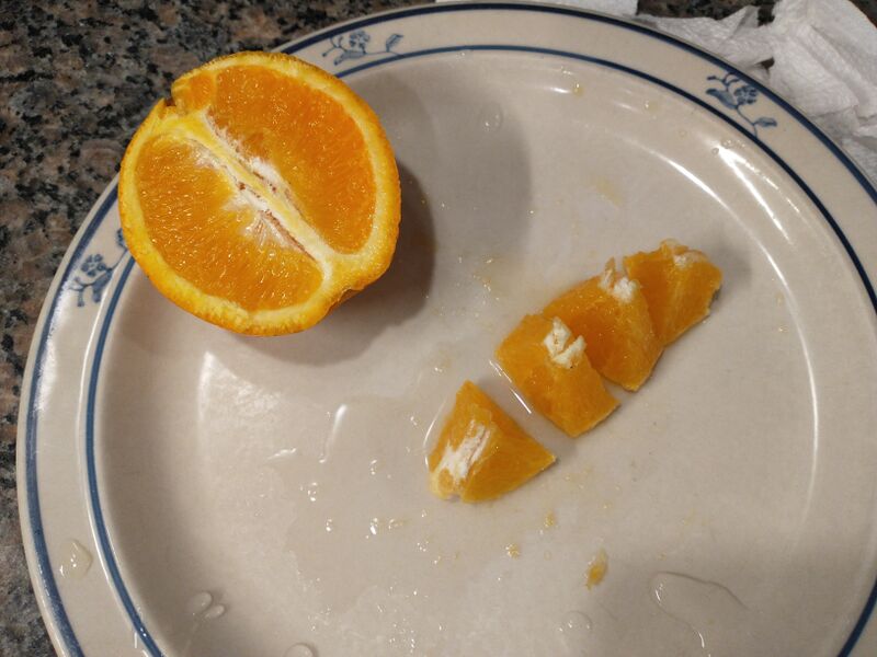 File:IMG 20260220 005257005.jpg